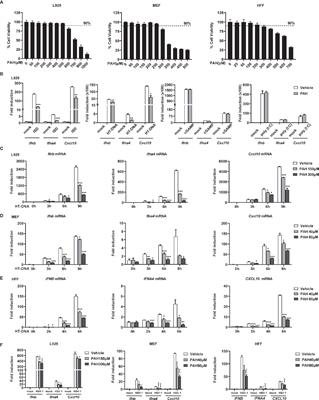 Perillaldehyde Inhibition of cGAS Reduces dsDNA-Induced Interferon Response